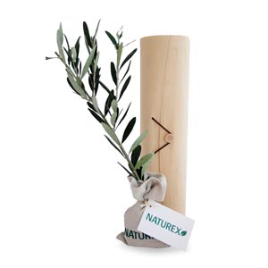 arbre olivier objets publicitaires écologiques