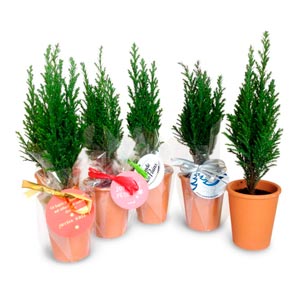 arbres fabrication francaise