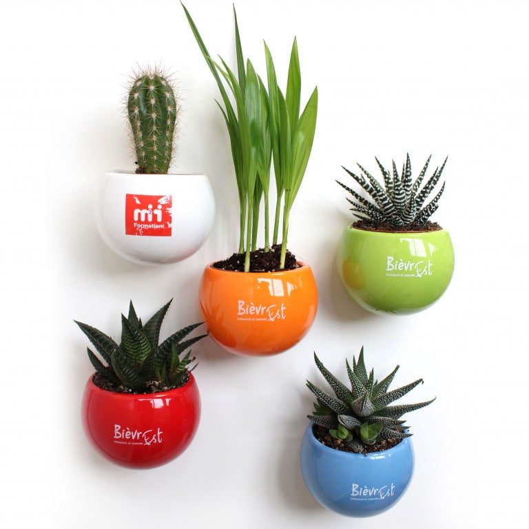 plantes pot aimant