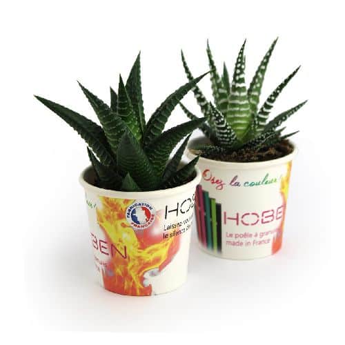 plantes publicitaires