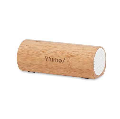 Enceinte bois bambou