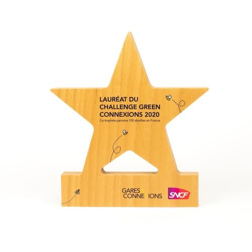 Trophée personnalisable goodies en bois