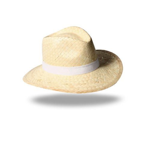 Chapeau panama